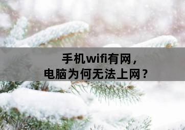 手机wifi有网,电脑为何无法上网? 手机wifi有网,电脑为何无法上网?-图片2